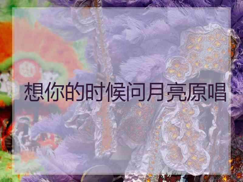 想你的时候问月亮原唱