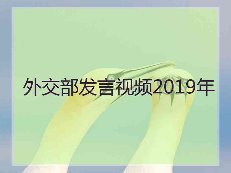 外交部发言视频2019年