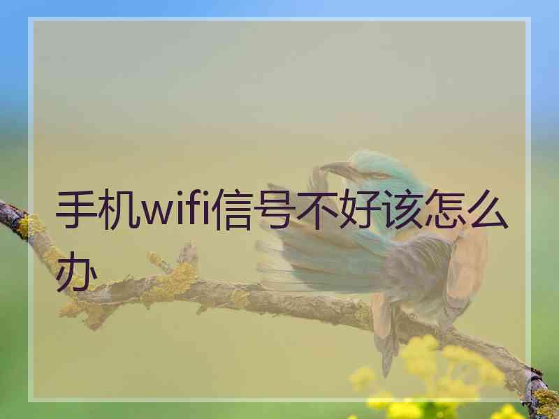 手机wifi信号不好该怎么办