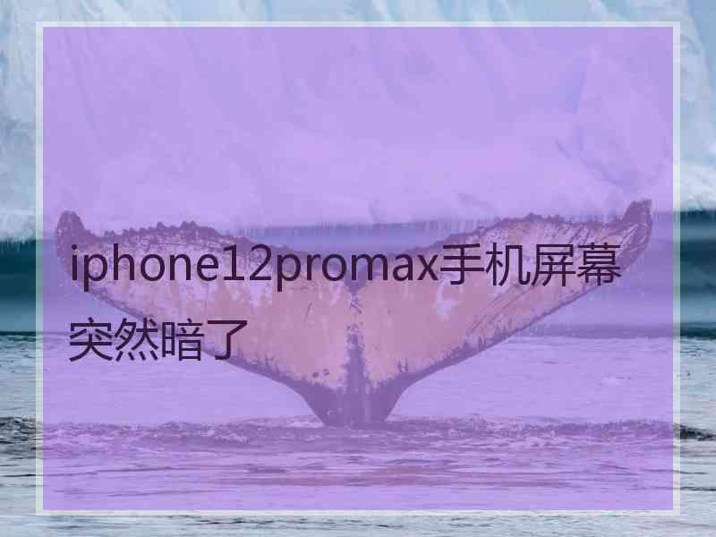 iphone12promax手机屏幕突然暗了