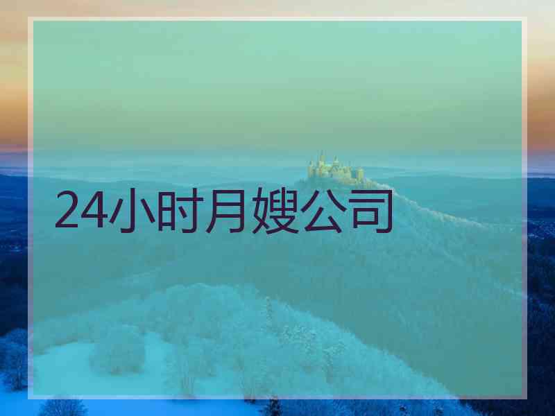 24小时月嫂公司