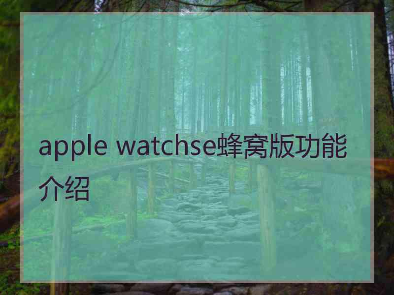 apple watchse蜂窝版功能介绍