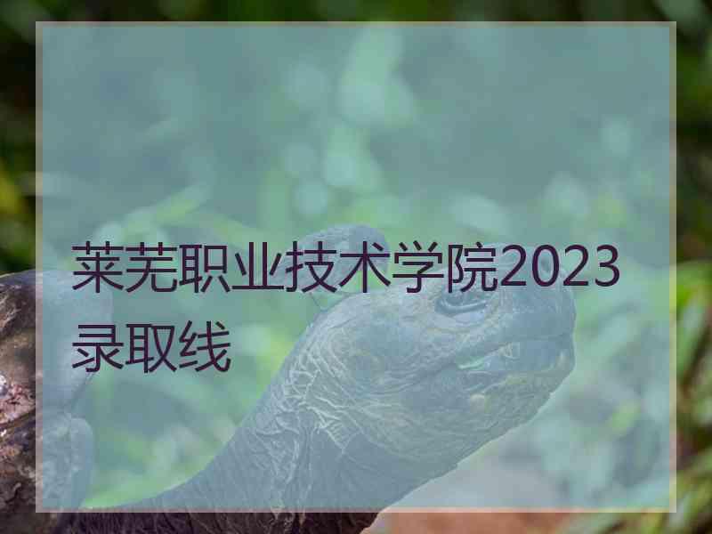 莱芜职业技术学院2023录取线