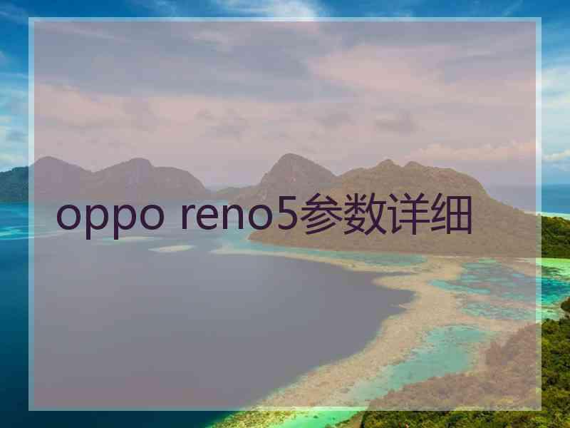 oppo reno5参数详细