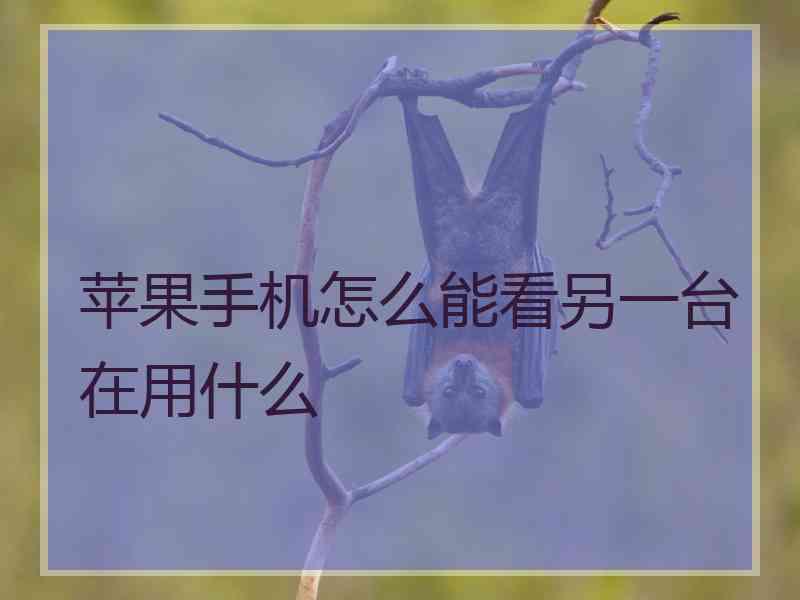 苹果手机怎么能看另一台在用什么