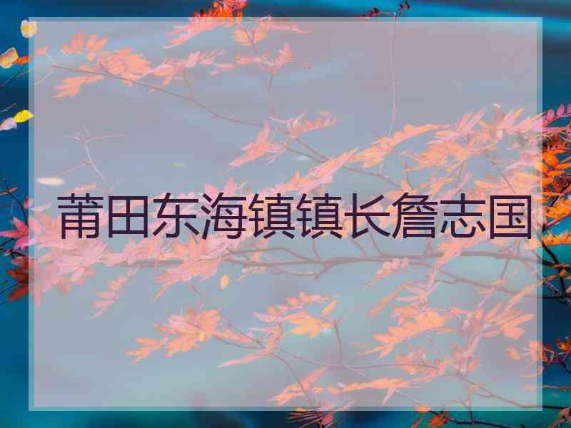 莆田东海镇镇长詹志国