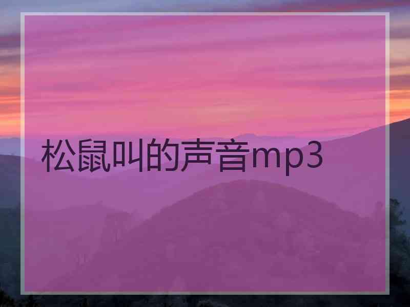 松鼠叫的声音mp3