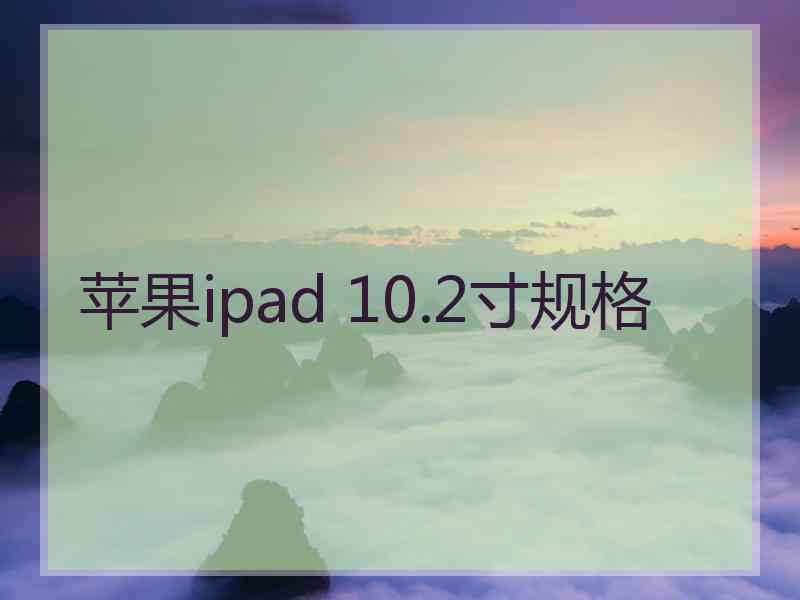 苹果ipad 10.2寸规格