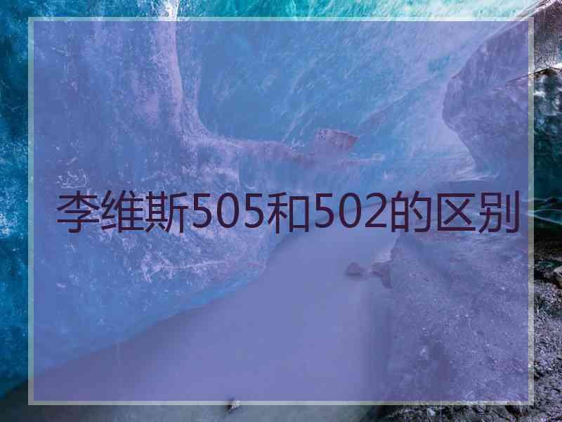 李维斯505和502的区别