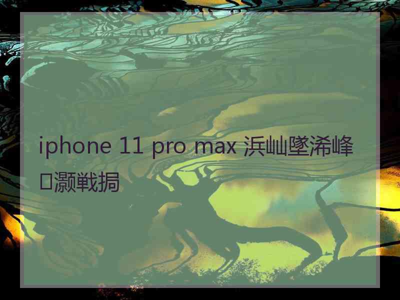 iphone 11 pro max 浜屾墜浠峰灏戦挶