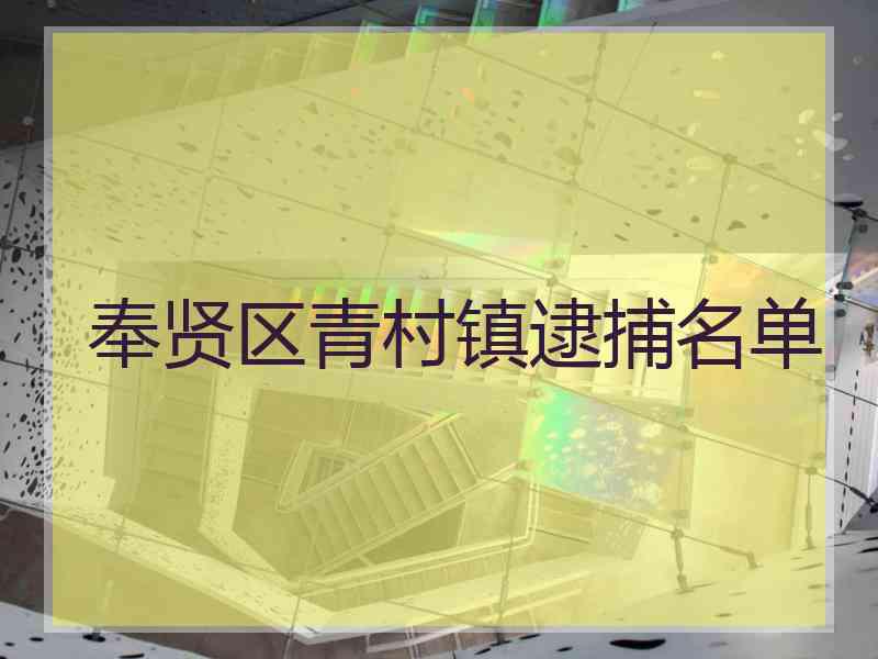 奉贤区青村镇逮捕名单