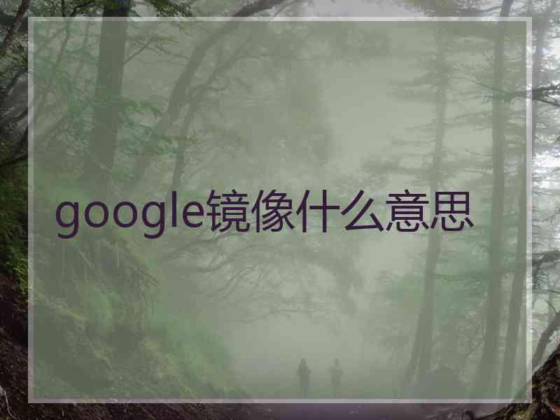 google镜像什么意思