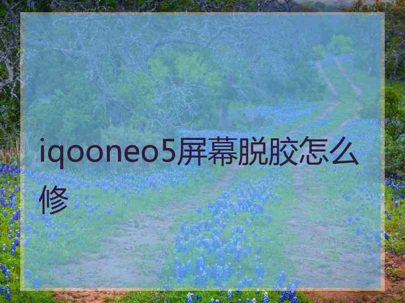 iqooneo5屏幕脱胶怎么修