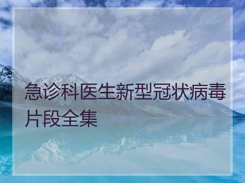 急诊科医生新型冠状病毒片段全集