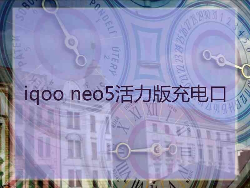 iqoo neo5活力版充电口