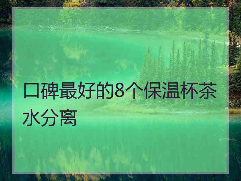 口碑最好的8个保温杯茶水分离