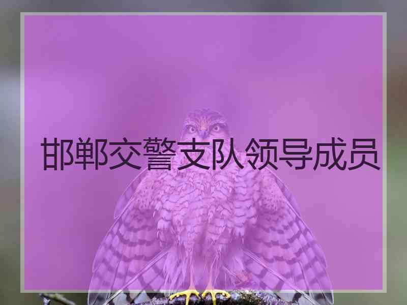 邯郸交警支队领导成员