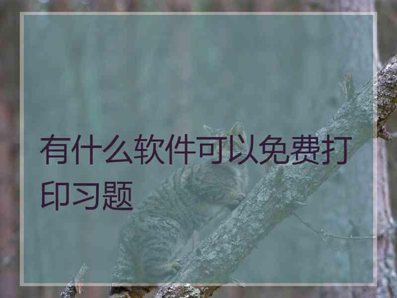 有什么软件可以免费打印习题