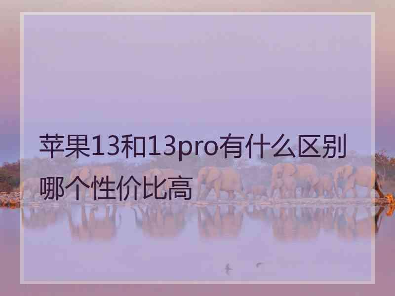 苹果13和13pro有什么区别哪个性价比高