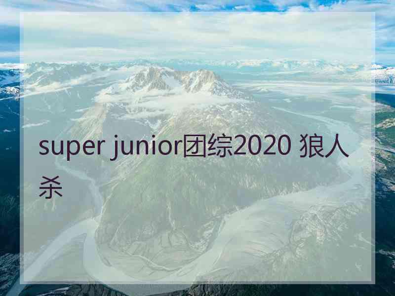 super junior团综2020 狼人杀