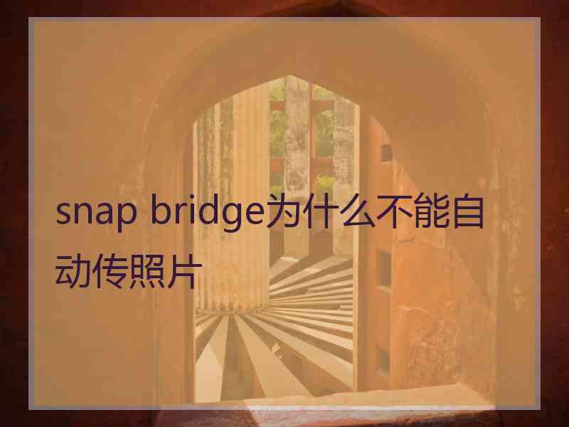 snap bridge为什么不能自动传照片