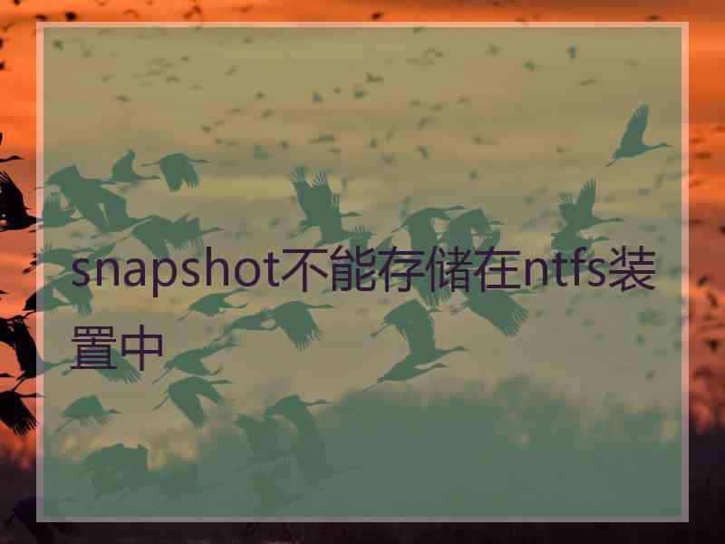 snapshot不能存储在ntfs装置中