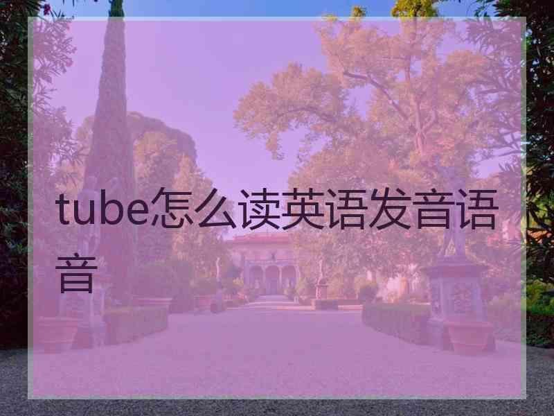 tube怎么读英语发音语音