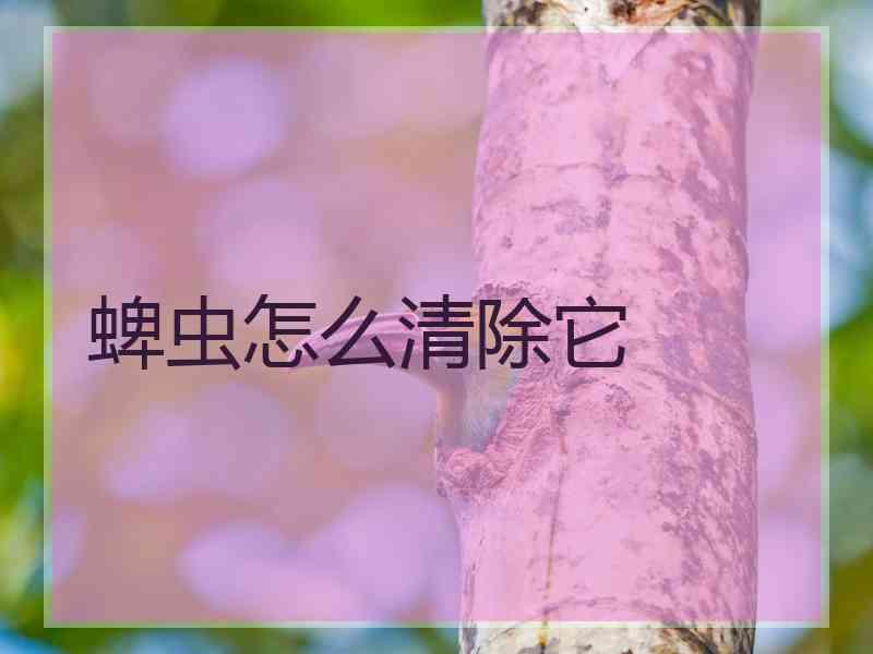 蜱虫怎么清除它