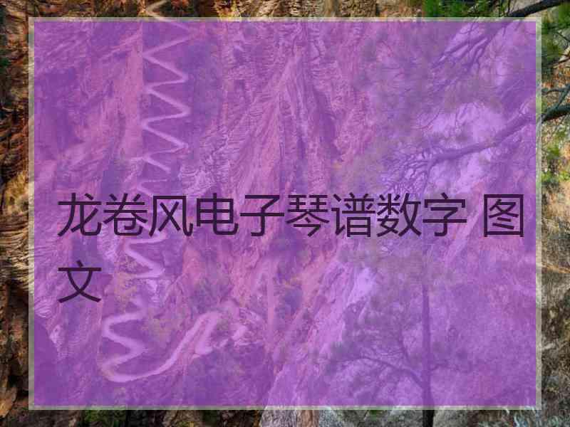 龙卷风电子琴谱数字 图文