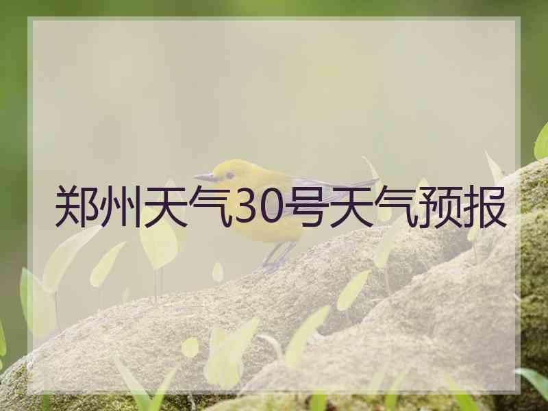 郑州天气30号天气预报