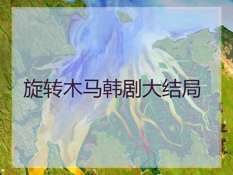 旋转木马韩剧大结局