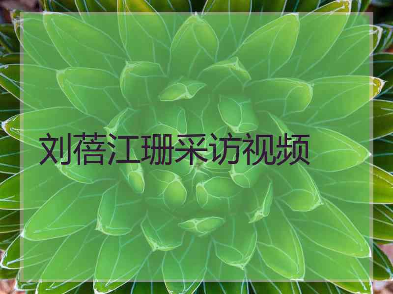 刘蓓江珊采访视频