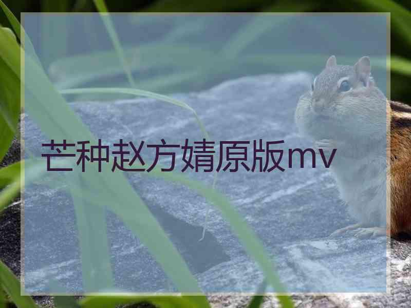 芒种赵方婧原版mv