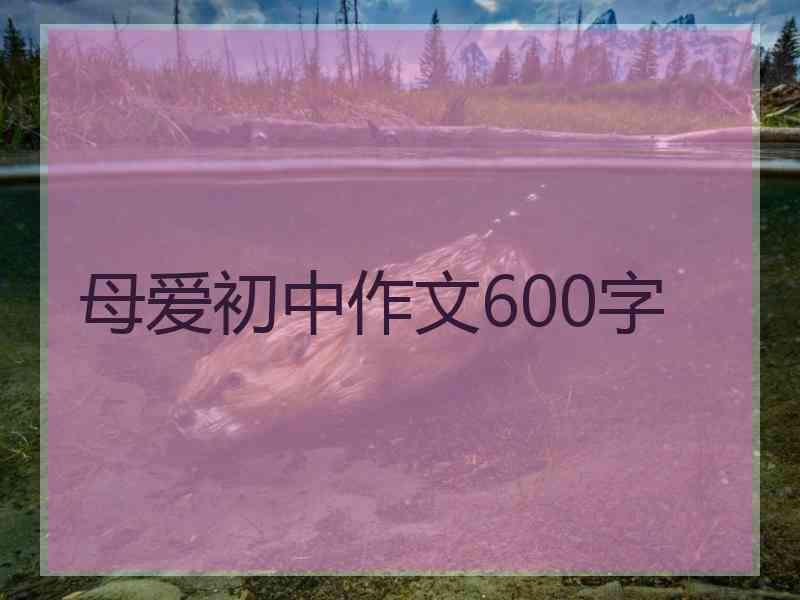 母爱初中作文600字