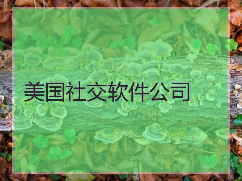 美国社交软件公司