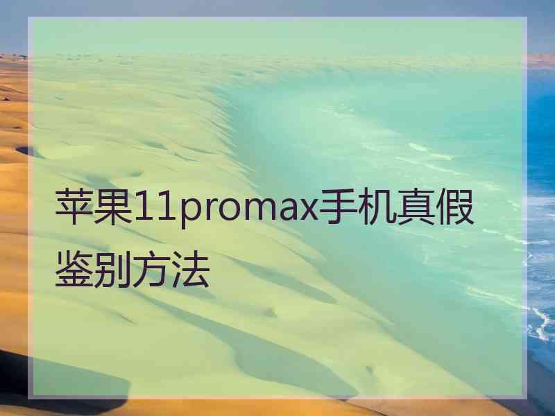 苹果11promax手机真假鉴别方法