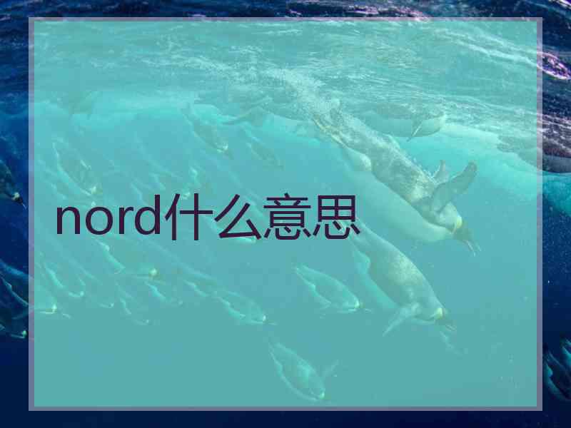 nord什么意思