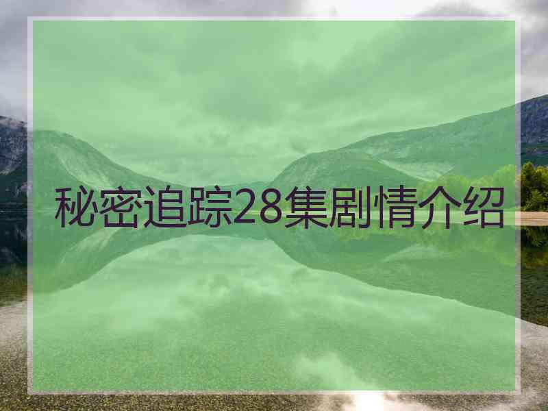 秘密追踪28集剧情介绍