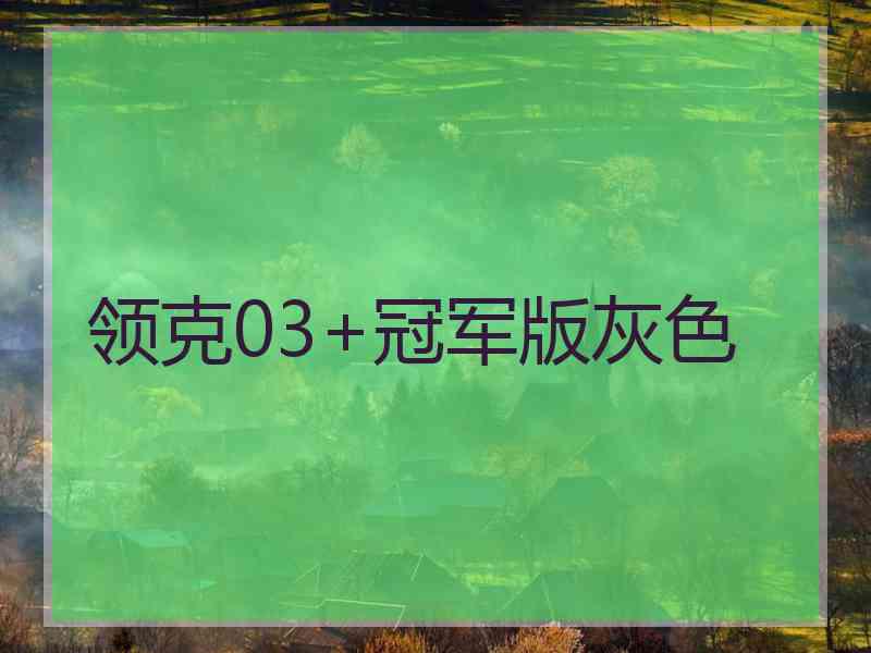 领克03+冠军版灰色