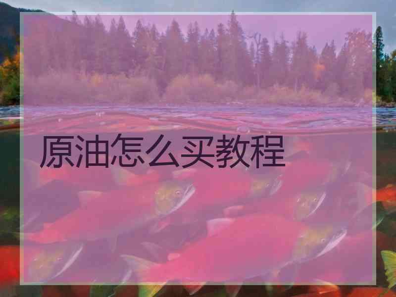 原油怎么买教程