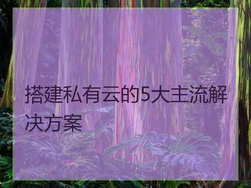 搭建私有云的5大主流解决方案