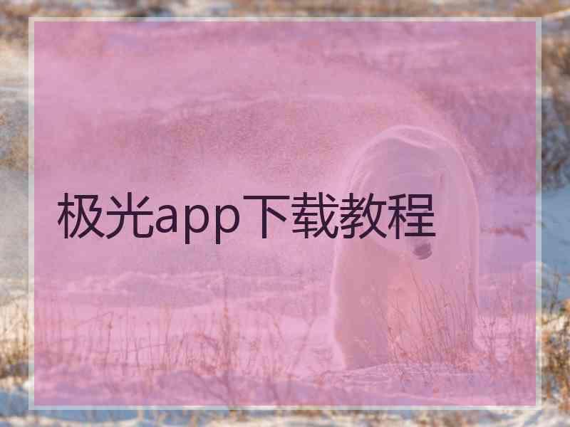 极光app下载教程