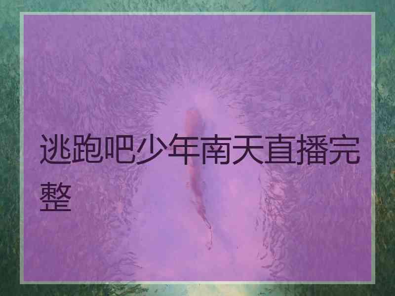 逃跑吧少年南天直播完整