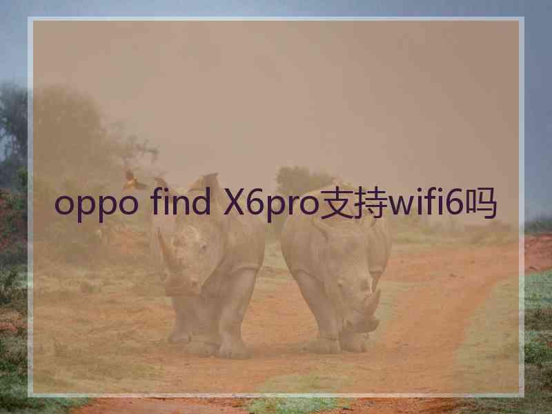 oppo find X6pro支持wifi6吗