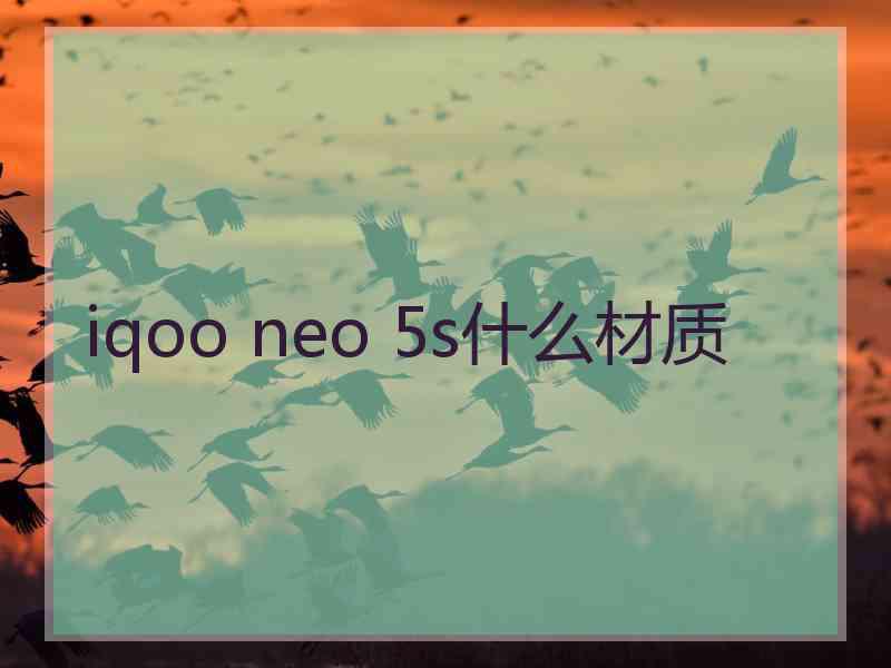 iqoo neo 5s什么材质