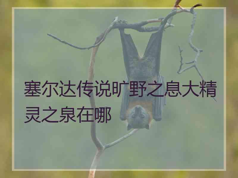 塞尔达传说旷野之息大精灵之泉在哪