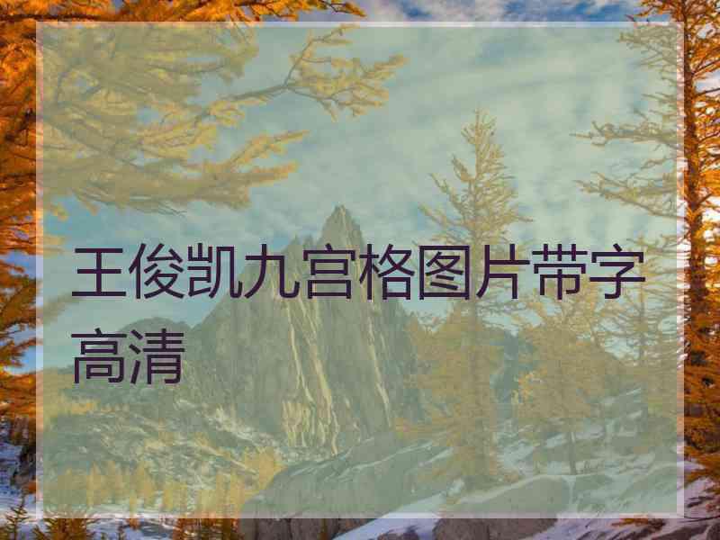 王俊凯九宫格图片带字高清