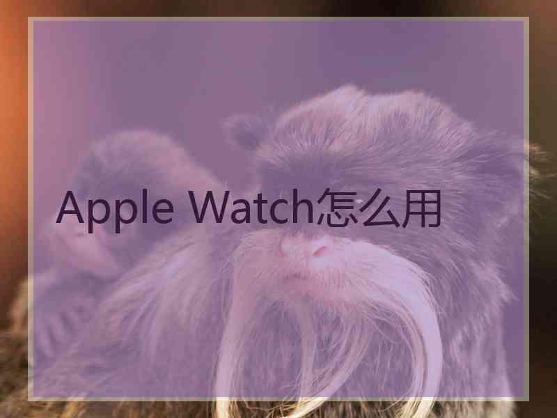 Apple Watch怎么用