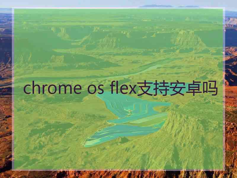 chrome os flex支持安卓吗