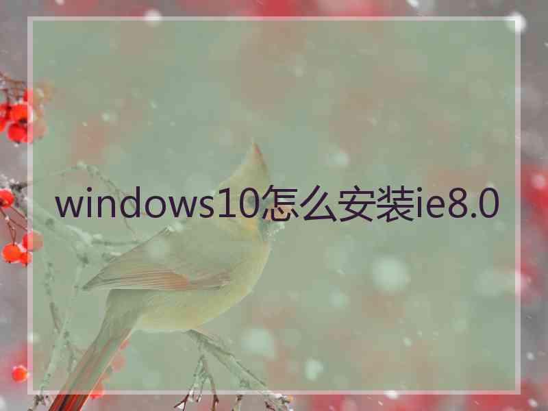 windows10怎么安装ie8.0